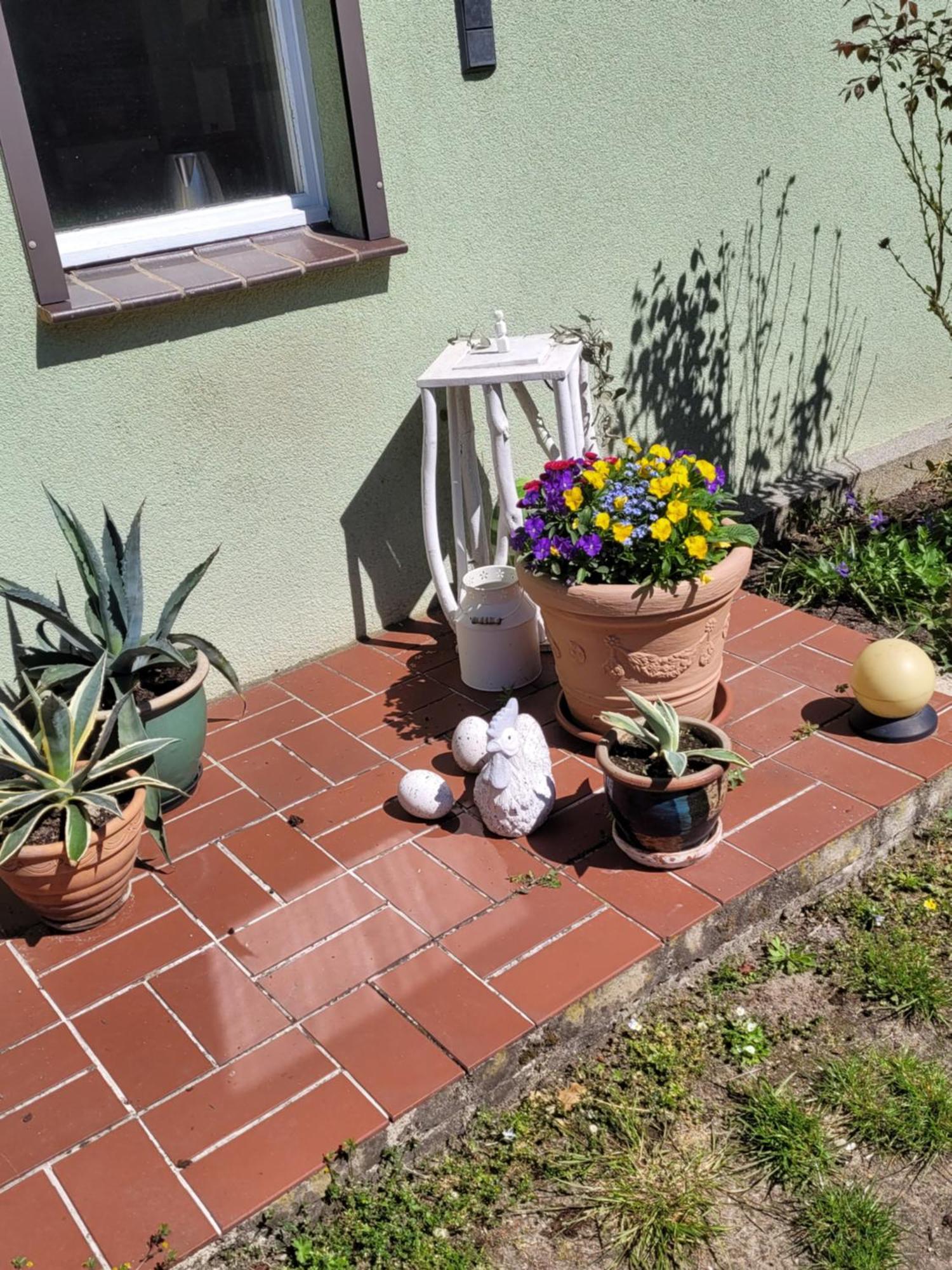 Wohnung Waltraud Plattenburg Εξωτερικό φωτογραφία